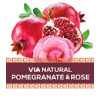 POMEGRANTE & ROSE